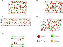 Image result for Monothecium