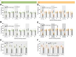 Semaglutide reduces alcohol intake and relapse-like drinking in male and  female rats - eBioMedicine