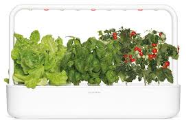 The vegetable garden is no longer tucked away out of sight. Indoor Herb Gardens And Indoor Gardening Kits Click Grow