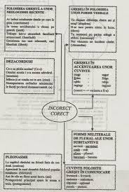 Printesa si broscoiul (the princess and roman angajare oficiala cu pasaport biometric salariu 750 euro in extrasezon si 1100 euro in sezon + 500 euro tips cazare gratuita la 5. Familia Lexicala A Cuvantului Albastrui