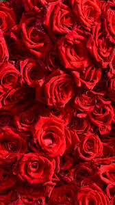 Iphone X Wallpaper Hd 1080p Flower Tecnologist Flower Iphone Wallpaper Red Flower Wallpaper Floral Wallpaper Iphone
