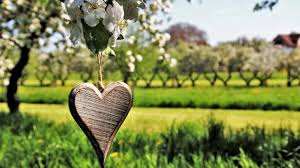 Именины, памятные даты, народный календарь, кто родился и умер в этот день. 29 Aprelya Kakoj Segodnya Prazdnik Podrobnosti Ua