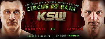 Radomski vs. Zawada zamiast Jewtuszko vs. Enomoto na KSW 37