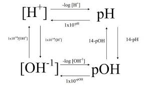 Pin On Biochemistry 2018