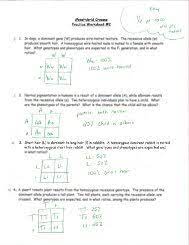 Some of the worksheets for this concept are part c monohybrid cross problems answers, monohybrid crosses and the punnett square lesson plan, monohybrid cross work key, monohybrid cross work answer key. Monohybrid Cross Problems 2 Answer Key Monohybrid Cross Activity Page 1 Line 17qq Com With More Related Things As Follows Zork Genetics Worksheet Answer Key Genetics Practice Problems Worksheet Answers