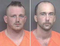 2 charged with trafficking mushrooms