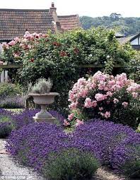 Pin On Garden Ideas Frugal Living