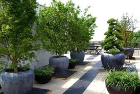 Arbres fruitiers pour terrasses & balcons. Amenager Ses Espaces Exterieurs Avec Des Plantes En Pot Espaces Paysagers