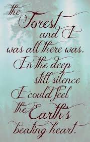 Pin By Willow Spa On 0 Old Ways 0 Nature Quotes Quotes Words