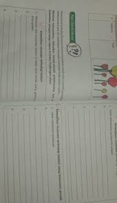 Tidak membuang sampah ke sungai 2. Kewajiban Manusia Terhadap Hewan Yang Terancam Punah