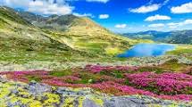 Best time to visit & weather. Visit Yumthang Valley Lachung Sotc