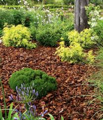 Hull farm 50150 cocoa bean shell mulch. Mulching Why Put Mulch In A Garden And Which Is The Best