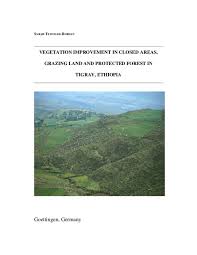 Image result for Harpachne schimperi