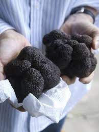 130629 Wap Truffle Truffles Stuffed Mushrooms Food