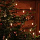 Christmas in Coloma