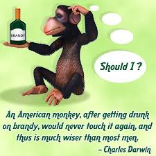 Irresistibly Intelligent Quotes By Famous Scientists Quotabulary Science quotes from famous scientists about life and death. irresistibly intelligent quotes by