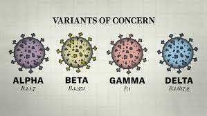 It was first identified in december 2019 in wuhan,. Why So Many Covid 19 Variants Are Showing Up Now Vox