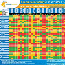 Compatible Tank Mates For Betta Fish Tank Mates Chart