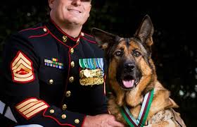 Le cameroun quant à lui, a fait un petit pas en avant. Le Chien Lucca Mutile En Afghanistan Decore De La Plus Haute Medaille Militaire
