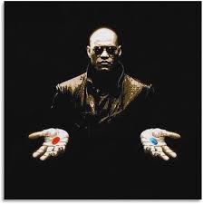 Amazon.com: הדפס קנבס של Matrix Red Pill and Blue Pill Choose Your Life  ציור קנבס תפאורה לבית פוסטרים והדפסים אמנות קיר תמונות אמנות קיר לסלון  עיצוב חדר שינה 12x12 אינץ' (30x30 ס"מ)