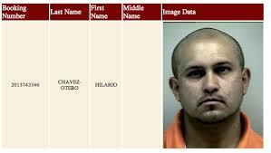 Buford Docket Book: Aggressive Driving, Attempting to Elude and Fighting  Words