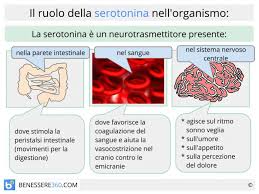 Gli alimenti che ne contengono di più sono Serotonina Naturale Omeopatica Da Alimenti O Integratori