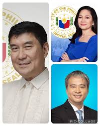 Any "hard act to follow" STJ senators in the 35th legislature?