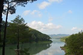 27.apr.2021 sambangi ranu gumbolo tulungagung yang mirip ranu kumbolo. Cool Picture Of Ranu Gumbolo Tulungagung Tripadvisor