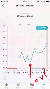 Triphasic Bbt And Implantation Or Is Flo App Working Netmums