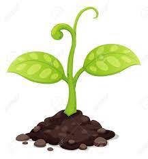 If you link to another pen, it will include the css from that pen. 16 Growing With God Images Ideas Image Tree Clipart Growing