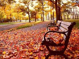 Great wallpaper is one of the easiest ways to customize your iphone's home page. Most Beautiful Hd Wallpapers Group 79