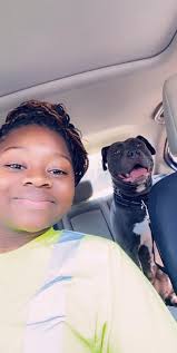 Over 26,000 views, How to Get Papers for a Dog without Papers 😎