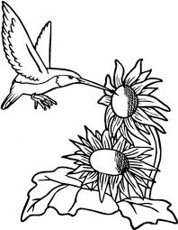 Hundreds of free spring coloring pages that will keep children busy for hours. Get This Hummingbird Coloring Pages Free Printable 76955