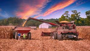 Il faut également préciser que le montant de la location d'une chasse dans un bois est beaucoup plus élevé que pour des terres agricoles. Conditions De Conversion D Un Bail A Metayage En Fermage Apcg Notaires