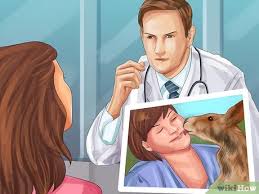 Exotic pet ownership check list. How To Find An Exotic Animal Vet 15 Steps With Pictures