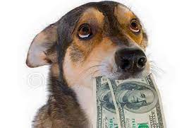 images?q=tbn:ANd9GcSt32JtN8hFxXlTY23TO85