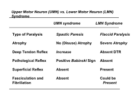 Upper Motor Neuron Lesion Vs Lower Motor Neuron Lesion Table Google Search Motor Neuron Neurons Physical Therapist Assistant