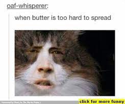 60 Funny Memes Of The Day Funnymemes Funnypictures Humor Funnytexts Funnyquotes Funnyanimals Funny Lol Haha Memes Tumblr Funny Funny Pictures Laugh