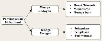 Bumi terdiri atas daratan dan lautan. 3 Perubahan Bentuk Muka Bumi Dapatdisebabkan Oleh Tenaga Eksogen Contoh Tenaga Eksogen Adalah Brainly Co Id