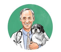 He had allergies, a yeast infection, and bouts with pancreatitis. Dr Marty Pet Food Reviews Recalls Information Ingredients