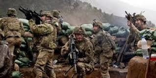Drama · war · ·. Infantry Movies Best And New Films