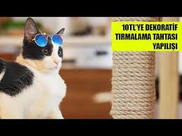 Kedi Tirmalama Tahtasi Yapiyoruz 10tl Ve Dekoratif Youtube