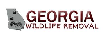 Brew crew cleaners and carpet and floor care specialist is a residential and commercial cleaning service that provides professional cleaning. Georgia Wildlife Removal Atlanta Pest Control Solutions For Birds Georgia Wildlife Removal