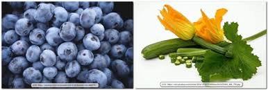 Try to avoid any soft or dark spots. Delicious And Moist Diabetic Blueberry Zucchini Bread Virily