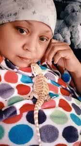 Bearded Dragons Lovers