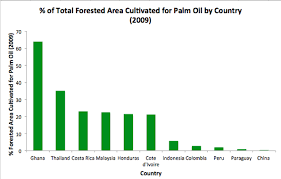Deforestation Project Palm Oil