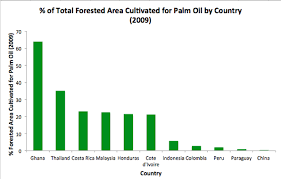 deforestation project palm oil