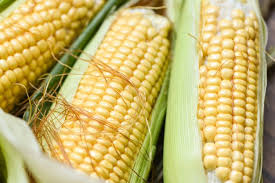 Kernel jagung, jagung rebus jagung manis jagung memasak sup jagung, jagung manis, makanan, resep png. Resep Manjur Dan Murah Ramuan Air Rendaman Rambut Jagung Bisa Bawa Perubahan Ini Pada Penderita Tekanan Darah Tinggi Semua Halaman Nakita