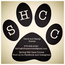 Cdss programs foster care foster care and adoptive resource how to become a foster parent. Douglas County Foster And Adoptive Parent Association Home Facebook