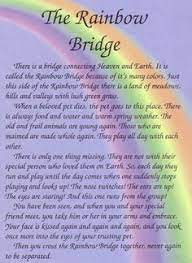Just this side of heaven is a place called rainbow bridge. 43 The Rainbow Bridge Ideas Rainbow Bridge Pet Loss Pets